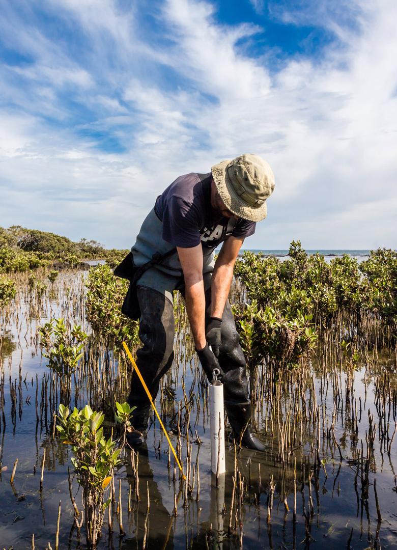 Education Hub Convex Seascape Survey